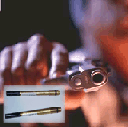 dart2.gif (12635 bytes)